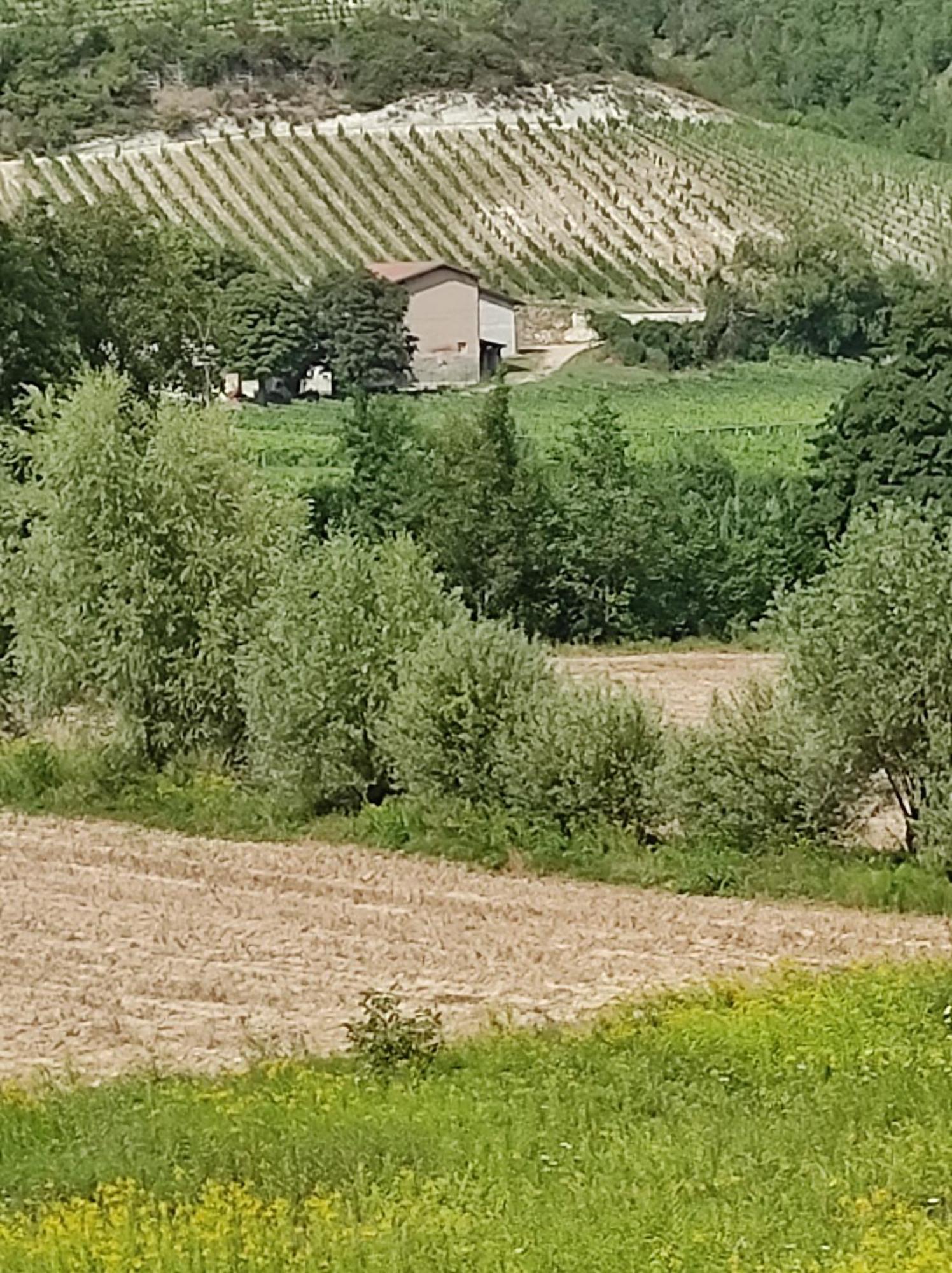 Pafati House In Gavi Daire Dış mekan fotoğraf